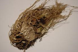 سنبل الطیب (بسته بندی 50 گرمی)